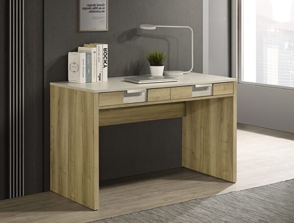 RANGLEY WRITING DESK -DRIFTWOOD
